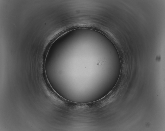 X0000092280446200710121407