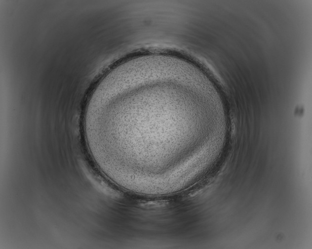 X0000092280447200710121407