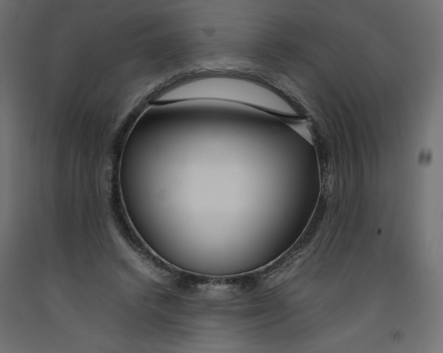 X0000092280448200710121407