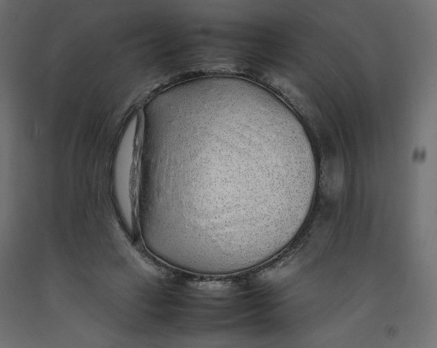 X0000092280449200710121407
