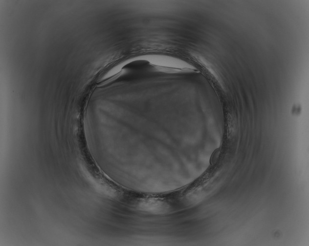 X0000092280451200710121407