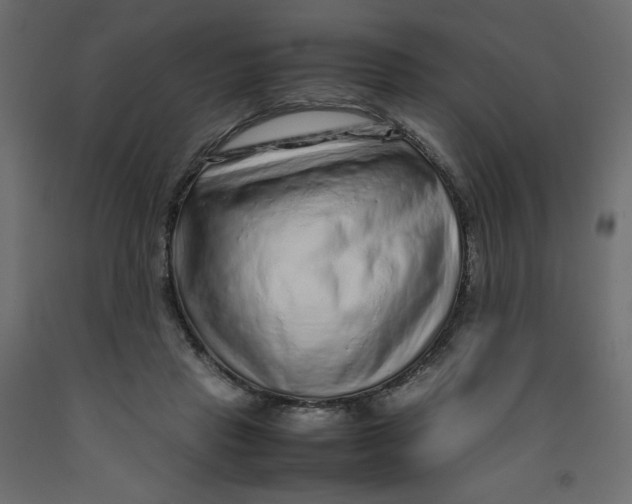 X0000092280453200710121407
