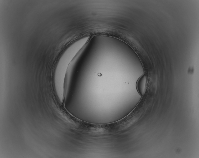 X0000092280454200710121407