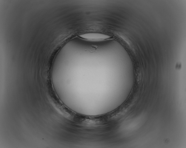 X0000092280455200710121407