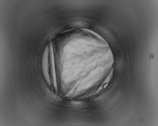 X0000092280457200710121407