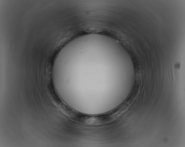 X0000092280460200710121407