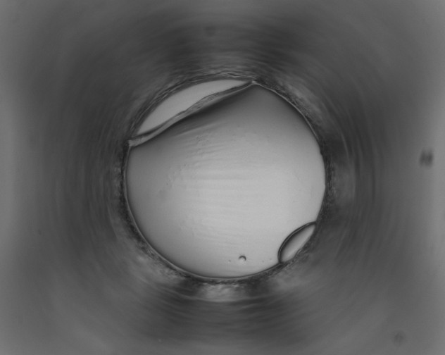 X0000092280461200710121407