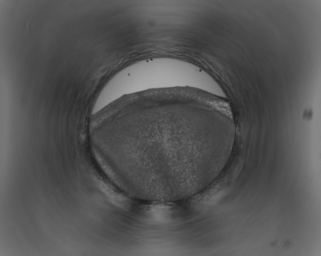 X0000092280462200710121407