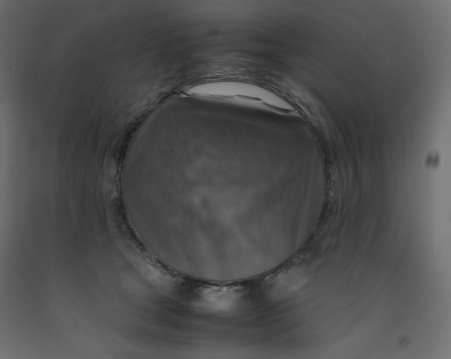 X0000092280465200710121407