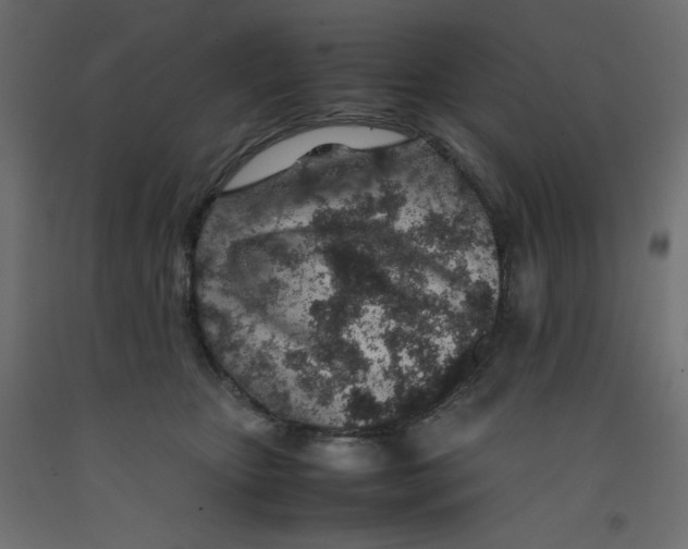 X0000092280467200710121407