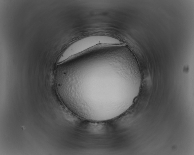 X0000092280469200710121407