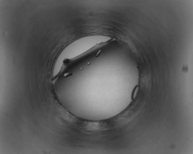 X0000092280473200710121407