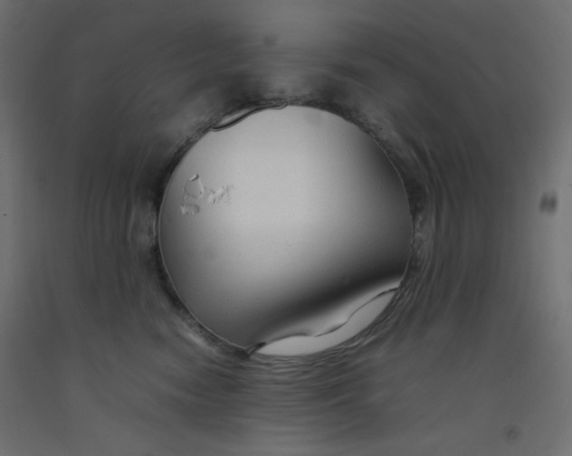 X0000092280474200710121407