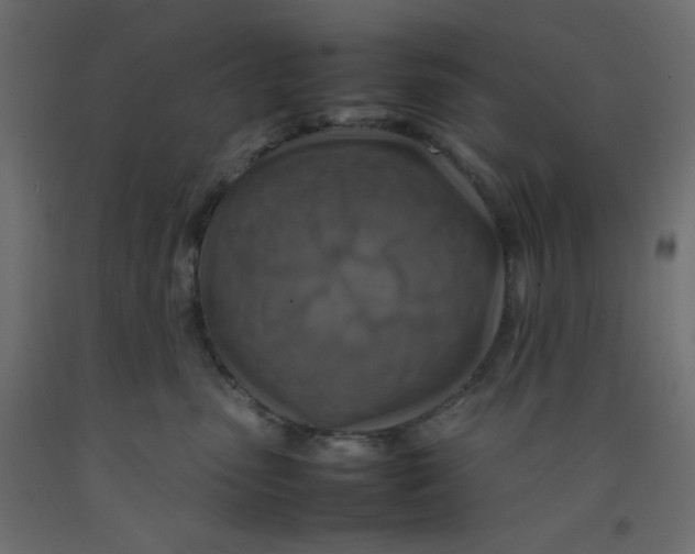 X0000092280475200710121407