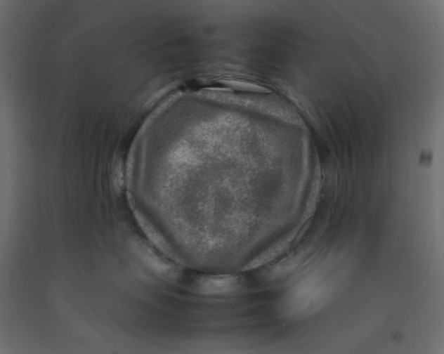 X0000092280479200710121407