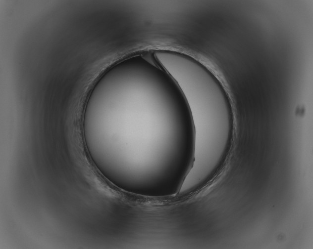 X0000092280481200710121407