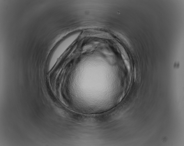X0000092280483200710121407