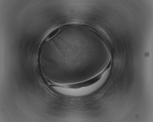 X0000092280484200710121407