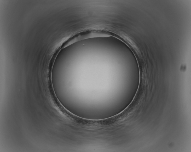 X0000092280485200710121407