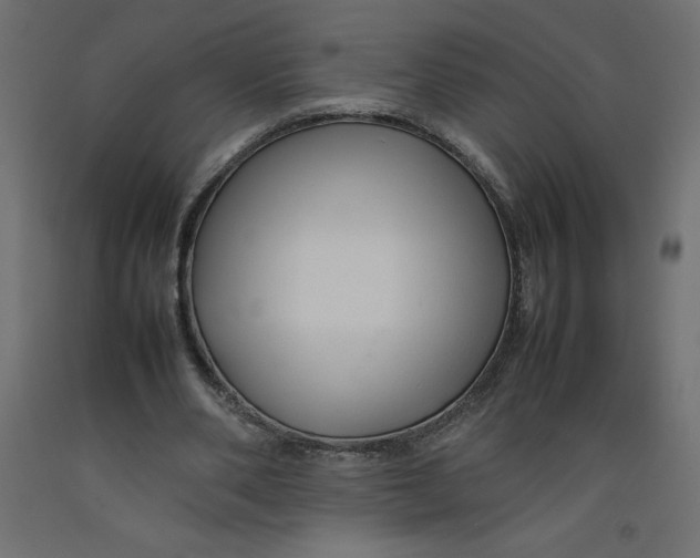 X0000092280486200710121407