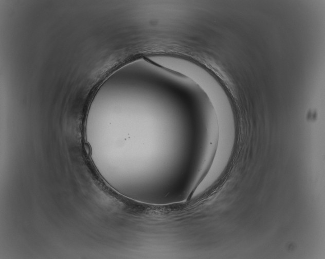 X0000092280489200710121407