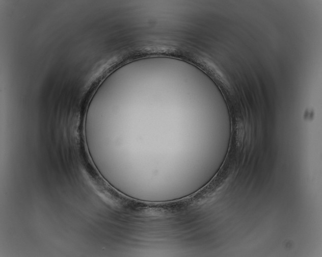X0000092280490200710121407