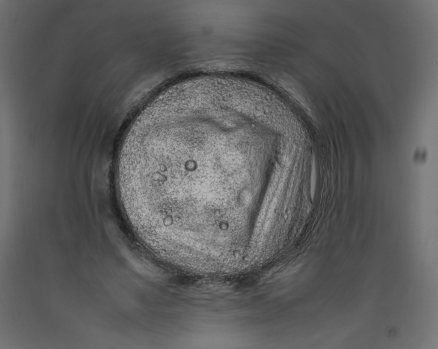 X0000092280491200710121407