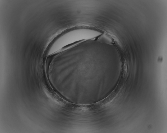 X0000092280492200710121407