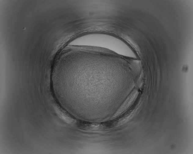 X0000092280493200710121407