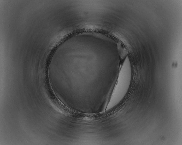 X0000092280496200710121407