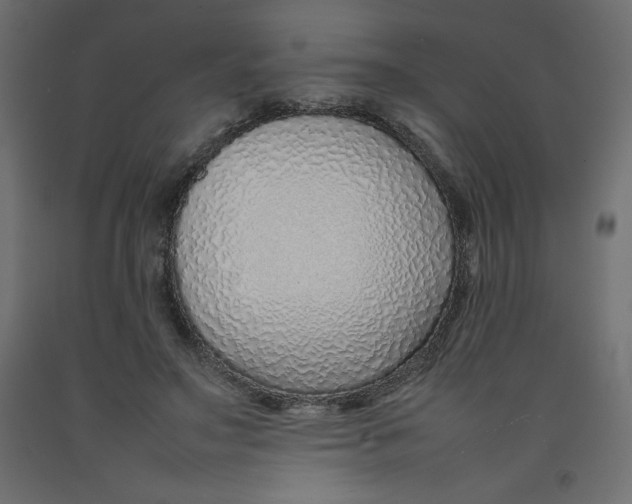 X0000092280499200710121407