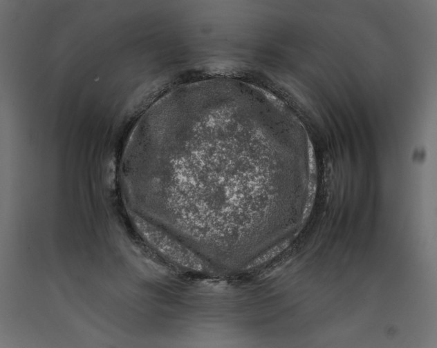 X0000092280502200710121407