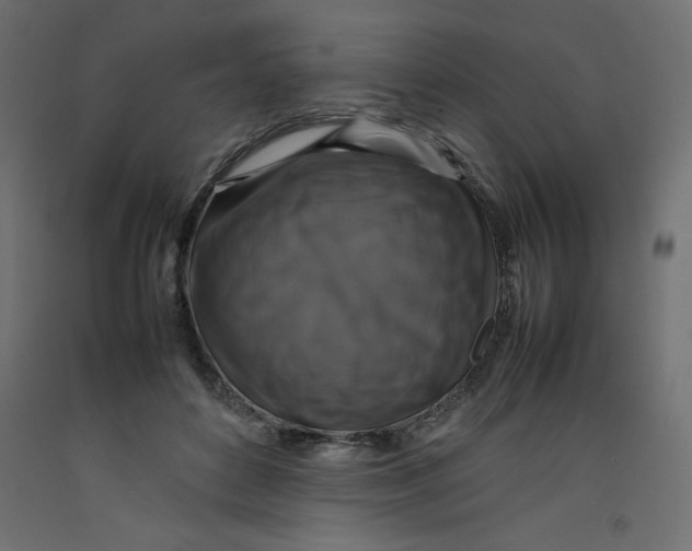 X0000092280504200710121406