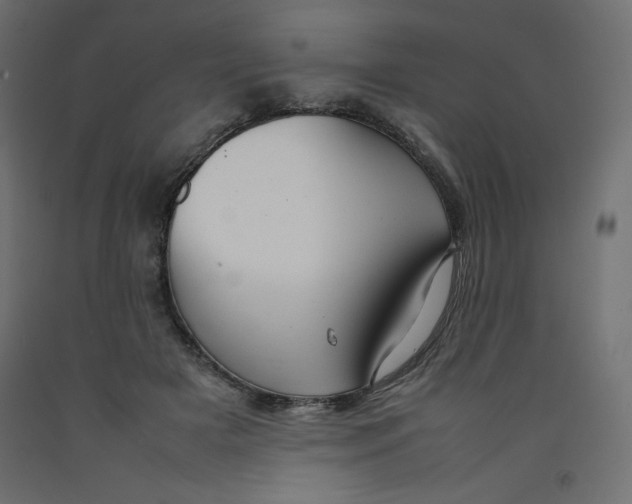 X0000092280505200710121406