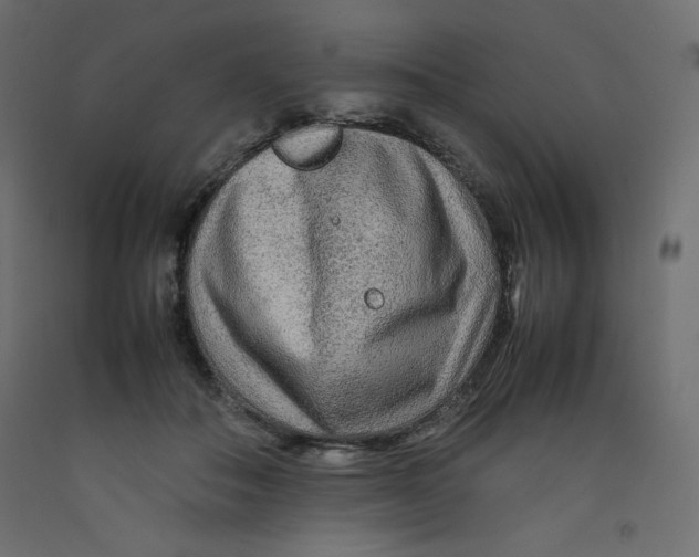 X0000092280506200710121406