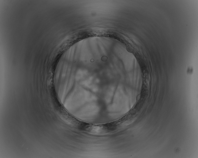 X0000092280507200710121406