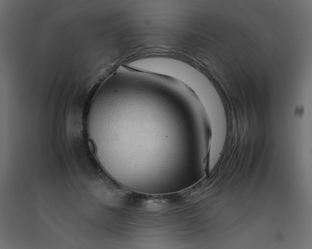 X0000092280508200710121406