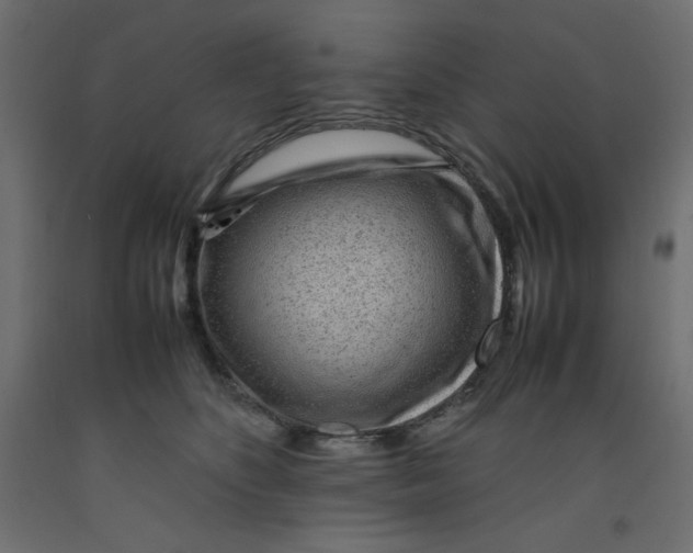 X0000092280516200710121406