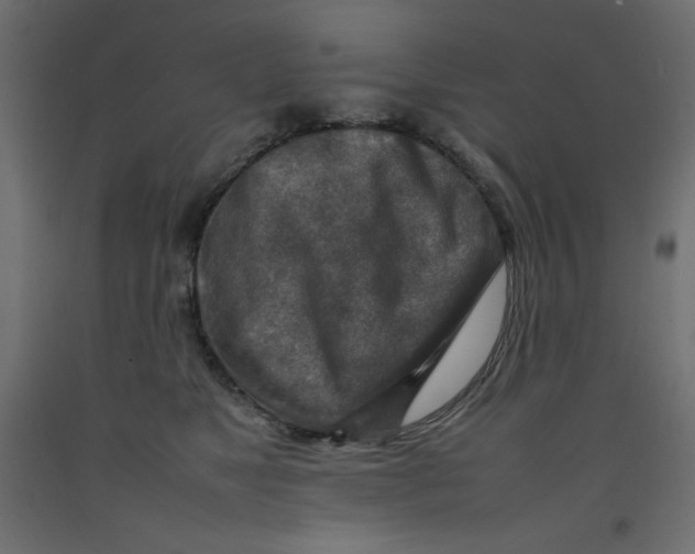 X0000092280517200710121406
