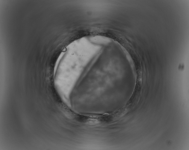 X0000092280519200710121406