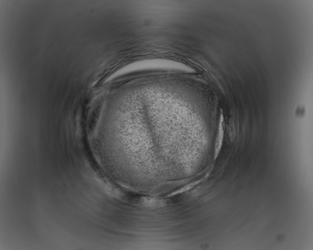 X0000092280520200710121406