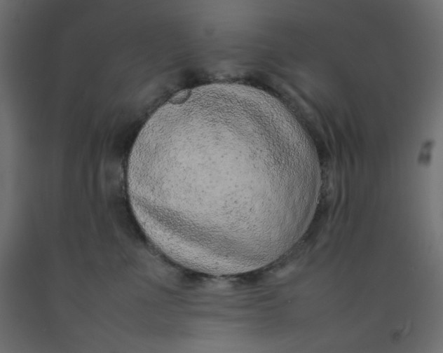 X0000092280523200710121406