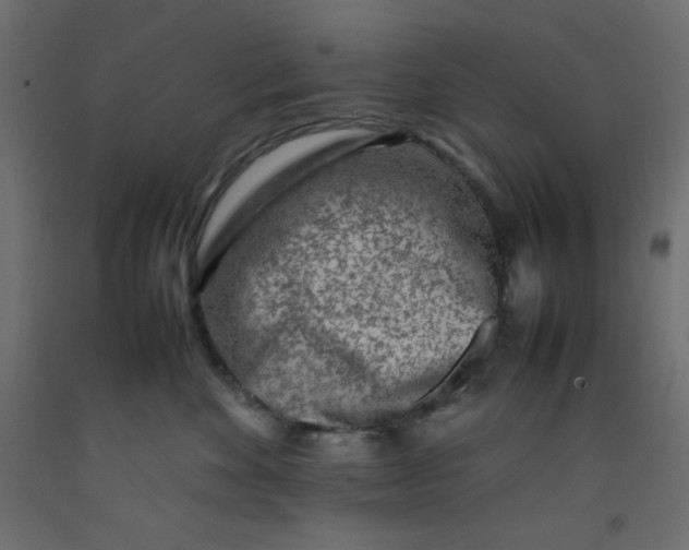 X0000092280524200710121406