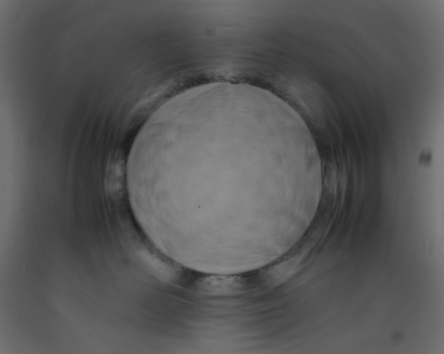 X0000092280526200710121406