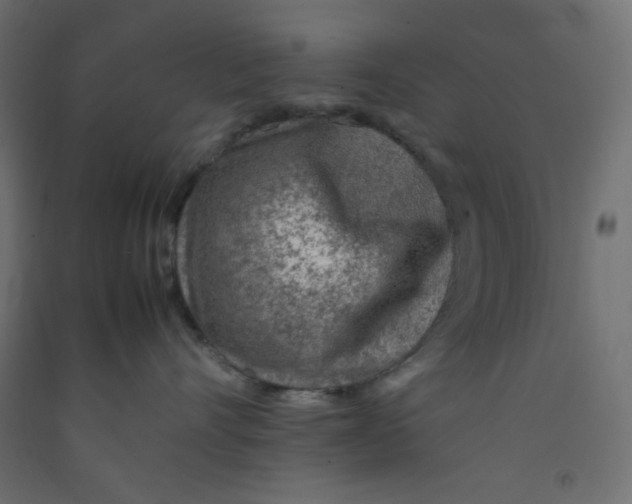 X0000092280528200710121406