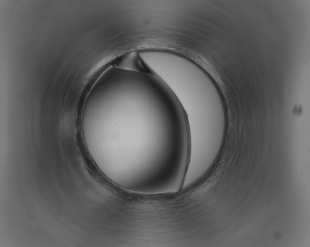 X0000092280530200710121405