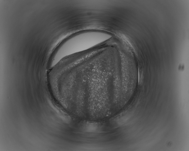 X0000092280531200710121405
