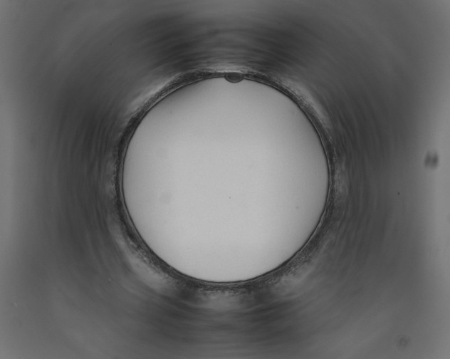 X0000092280533200710121405
