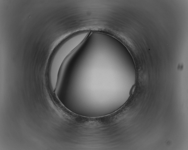 X0000092280536200710121405