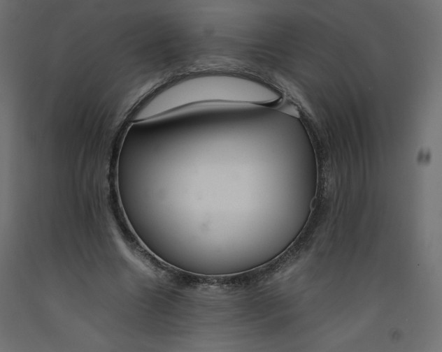 X0000092280538200710121406